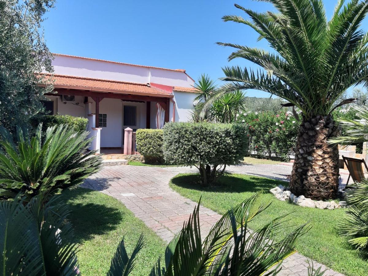 Villa La Piana بيسْكيتْشّي المظهر الخارجي الصورة